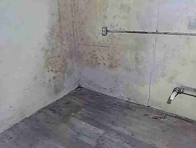 Testing again(29).jpg